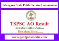 TS Agriculture Officer Result